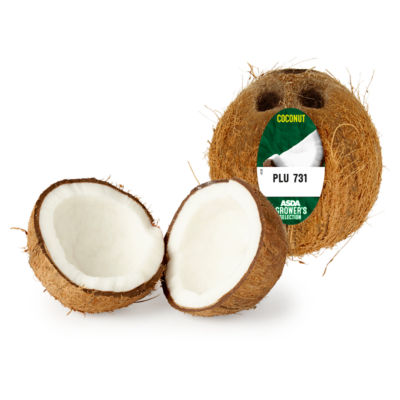 Coconut thumbnail 3