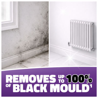 Black Mould Remover Spray 750ml thumbnail 4