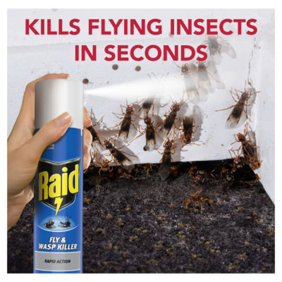 Rapid Action Wasp, Mosquito & Fly Killer Aerosol Spray 300ml thumbnail 3