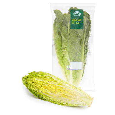 Large Cos Lettuce thumbnail 3