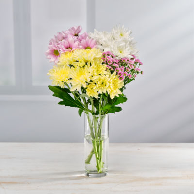 Mixed Chrysanthemums;85463479 thumbnail 4