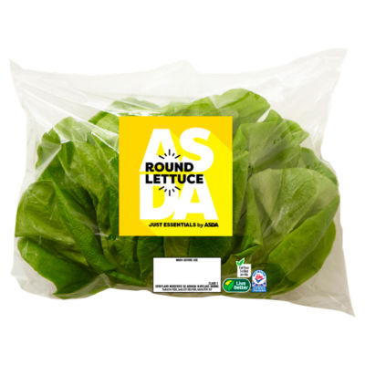 Round Lettuce thumbnail 2