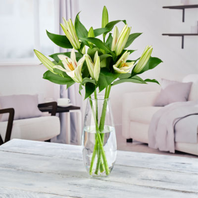 Premium Lilies