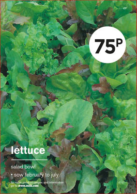 Grow Your Own Lettuce Seeds thumbnail 2