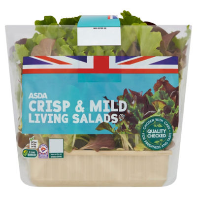 British Living Salad Leaves thumbnail 2