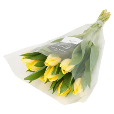 Tulips thumbnail 3