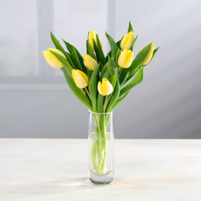 Tulips thumbnail 4