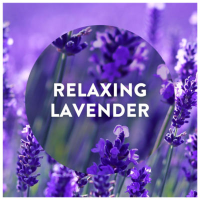 Essential Mist Refill Lavender Meadow & Bluebells Air Freshener 20ml thumbnail 4