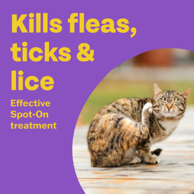 Clear Plus 50mg / 60mg Spot-On Solution for Cats and Ferrets 2 Pipettes thumbnail 3