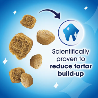 Dental Salmon Cat Treats 40g thumbnail 4