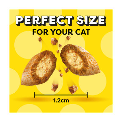 Cat Treat Biscuits with Tuna Flavour 200g thumbnail 4