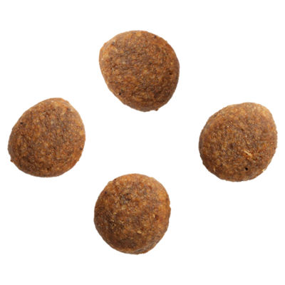 Natural Grain Free Adult Dry Cat Food Salmon & Whitefish thumbnail 3