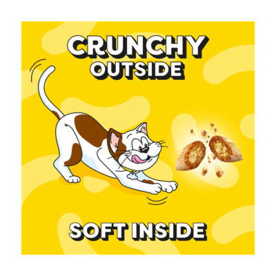 Cat Treat Biscuits with Salmon Flavour Bulk Mega Tub 350g thumbnail 4