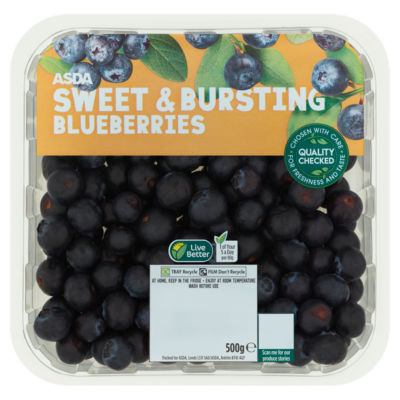 Blueberries 500g thumbnail 2