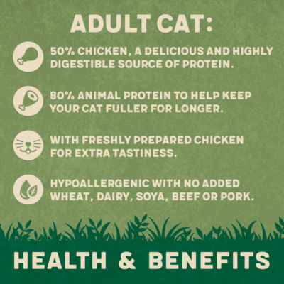 Dry Cat Food Salmon 2kg thumbnail 3