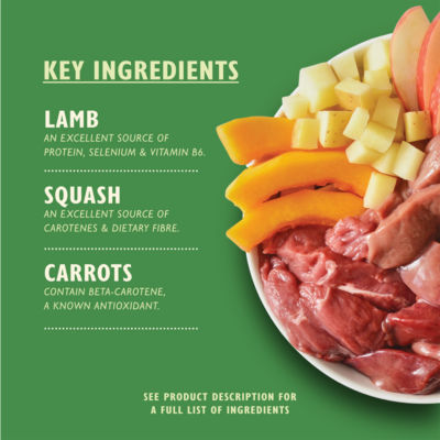 Lamb Hotpot Adult Wet Dog Food 400g thumbnail 3