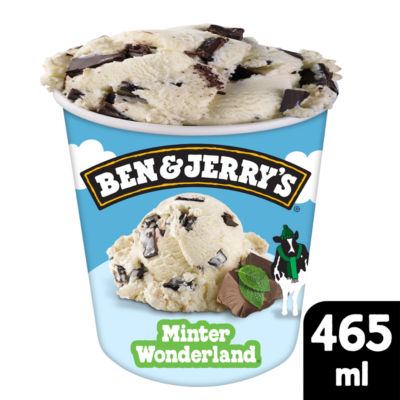 Minter Wonderland Ice Cream Tub 465 ML thumbnail 2