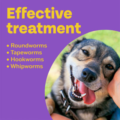 Clear 3 in 1 Flavoured Wormer 150/144/50 mg 4 Tablets for Dogs thumbnail 3