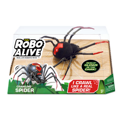 Crawling Spider