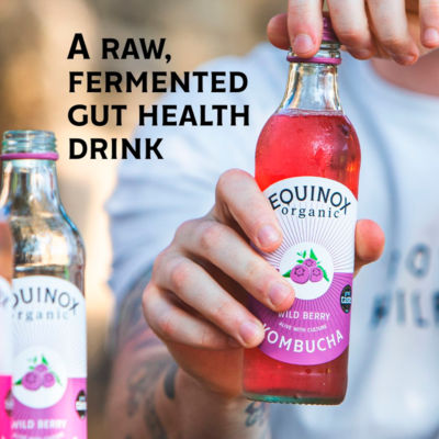 Organic Wild Berry Kombucha 275ml thumbnail 4