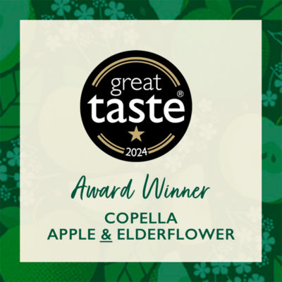 Apple & Elderflower Fruit Juice 1.35L thumbnail 4