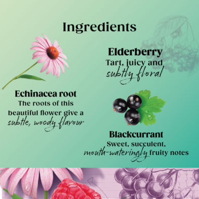 Superblends Immune Support Blackcurrant & Raspberry 20 Tea Bags 40g thumbnail 4
