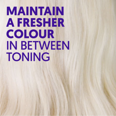 Touch of Silver Keep it Bright Colour Care Shampoo 400ml thumbnail 4
