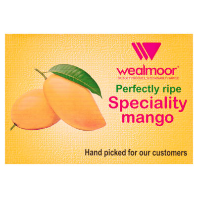Mango Box thumbnail 2