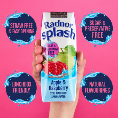 Apple & Raspberry Still Flavoured Spring Water 3 x 250ml thumbnail 3