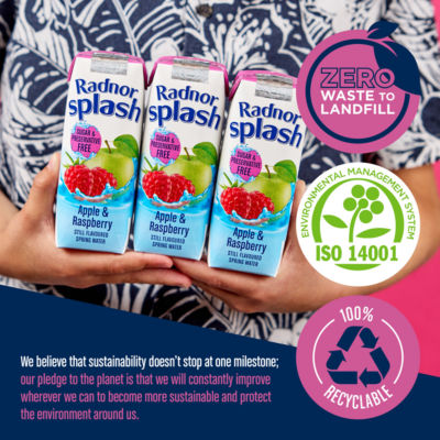 Apple & Raspberry Still Flavoured Spring Water 3 x 250ml thumbnail 4