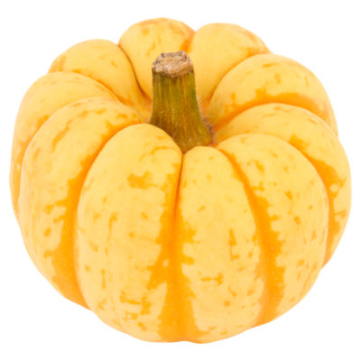 Munchkin Pumpkins
