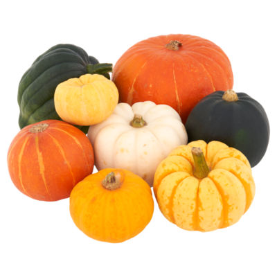 Munchkin Pumpkins thumbnail 3