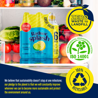 Lemon & Lime Still Flavoured Spring Water 6 x 500ml thumbnail 4