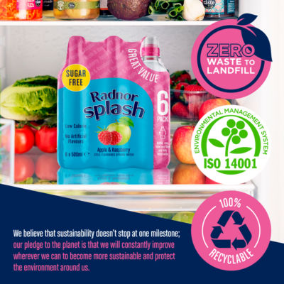 Apple & Raspberry Still Flavoured Spring Water 6 x 500ml thumbnail 4