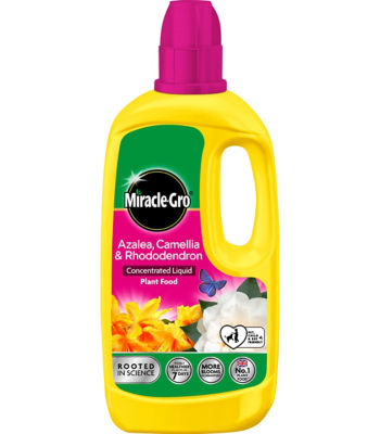 Azalea, Camellia & Rhododendron Concentrated Liquid Plant Food 800ml thumbnail 2
