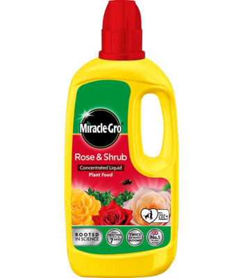 Miracle Gro Rose & Shrub Plant Food 800Ml