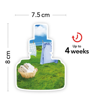 ScentPlug Fragrance Refills thumbnail 4