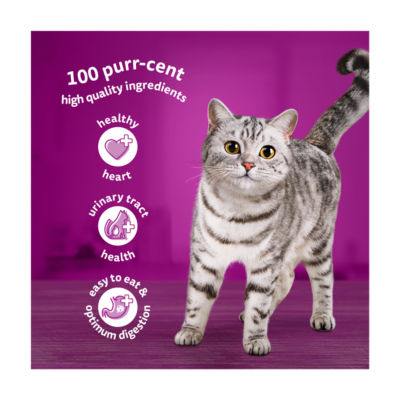Senior 11+ POULTRY Feasts Wet Cat Food Pouches in Jelly 12 x 85g thumbnail 3