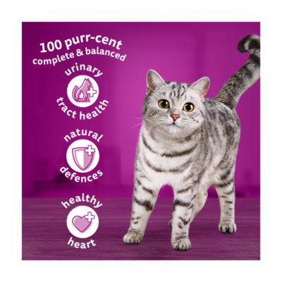 Senior 7+ Dry CHICKEN Cat Food 800g thumbnail 3