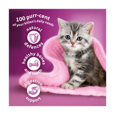 Kitten 2-12 mnths Dry CHICKEN Cat Food 1.9kg thumbnail 3