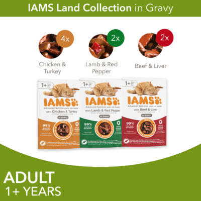 Advanced Nutrition Adult Wet Cat Food Meat Variety Mix in Gravy 8 x 85g thumbnail 3