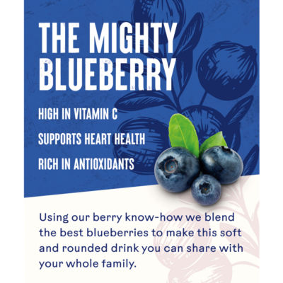Blueberry Juice 1 Litre thumbnail 3