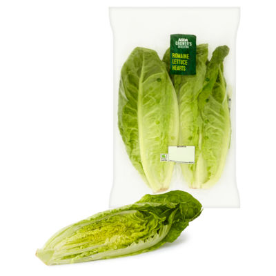 Sweet & Crisp Romaine Lettuce Hearts thumbnail 3