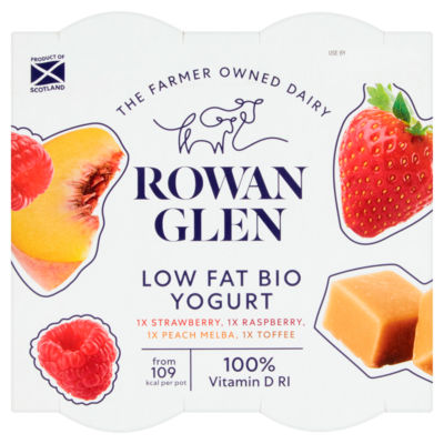 Low Fat Bio Yogurt Assorted 4 x 125g