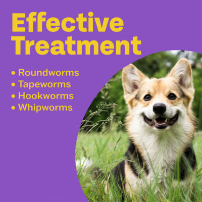 Clear Treatment 3 in 1 Flavoured Wormer 150/144/50mg Tablets for Dogs 2 Tablets thumbnail 3