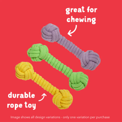 Chewy Dog Toy Rope Dumbbell thumbnail 4