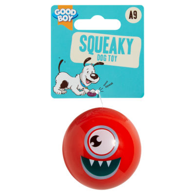 Squeaky Dog Toy