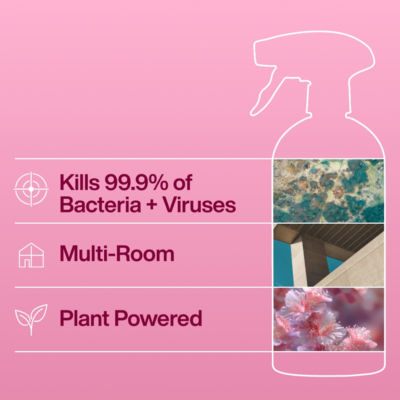 Antibac Multi-Room Cleaner Rhubarb + Pomegranate thumbnail 3