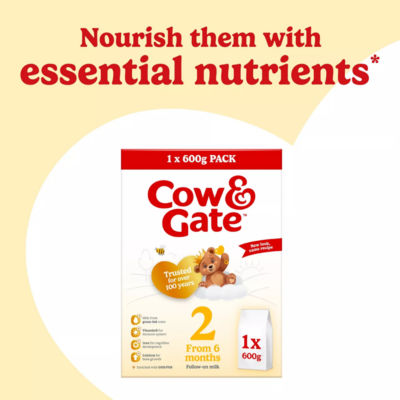 Follow-On Milk from 6 Months 600g thumbnail 3