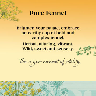 Pure Fennel 20 Tea Bags 40g thumbnail 4